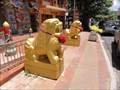 Image for Chinese Temple Lions—Surat Thani City, Thailand
