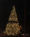 Image for Valley Fair Mall Tree -  Santa Clara, CA