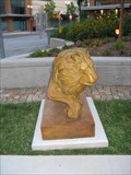 Image for University Town Center Lions - Hyattsville, MD