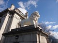 Image for The South Bank Lion  -  London, UK