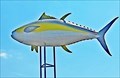 Image for Yellowfin Tuna - Manta, Ecuador