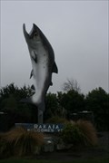 Image for Rakaia Big Salmon