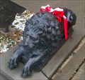 Image for Lions by Courthouse - Owego, NY
