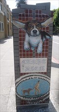 Image for Latin Dogs  -  Long Beach, CA