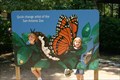 Image for Butterfly Flight School -- San Antonio Zoo, San Antonio TX