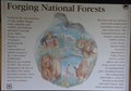 Image for Forging National Forests