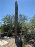 Image for Not your normal saguaro