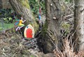 Image for Great Northern Rail Trail Fairy House - Cullingworth, UK