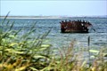 Image for Gammelt skibsvrag er kommet på land - Nyhuse, Denmark