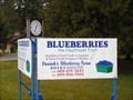 Image for Onnick's Blueberry Farm Clock — Abbotsford, BC