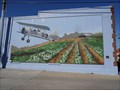 Image for Stearman Kaydet PT 17 Biplane Mural - Terrell, TX