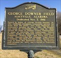 Image for George Downer Field - Aliceville, AL