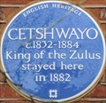 Image for Cetshwayo - Melbury Road, London, UK