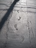 Image for Bare Footprints at Breed's - Austin, TX