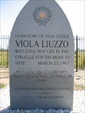 Image for Viola Liuzzo Memorial - Lowndes County, Alabama