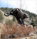 Image for Cougar - Black Hawk, CO