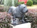 Image for Bulldog - South Carolina State University - Orangeburg, SC