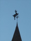 Image for Leaping Stag - Jay, Vermont