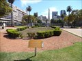 Image for Plaza de Mayo  -  Buenos Aires, Argentina