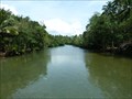 Image for CLEANEST - Inland Waterway - Bugang River  -  Pandan, Philippines