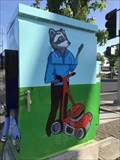 Image for Raccoon Box - Dublin, CA