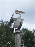 Image for West Beach Warrior Pelican "Bernie" Sculpture
