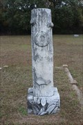 Image for Andrew J. Forrester - Nelson Cemetery - Azle, TX