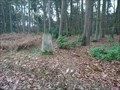Image for Beacon Hill Triangulation Pillar - Colgate, West Sussex