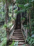 Image for Grand Staircase - Paronella Park - Mena Creek - QLD - Australia