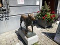 Image for Dog Statue - Museum Lindwurm - Stein am Rhein, Switzerland, SH