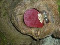 Image for Roundish Red Fairy Door - Portpatrick, Scotland, UK