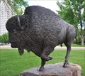 Image for North Dakota Centennial Bison ~ Bismarck, North Dakota