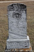Image for Charles Cavazos -- George's Creek Cemetery, Somervell Co TX
