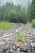 Image for Damnation Creek - North Cascades Hwy, WA
