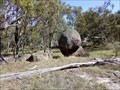 Image for Eternity - Balancing Rocks - Deepwater, NSW, Australia