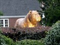 Image for South Carolina State University Bulldog - Orangeburg, SC