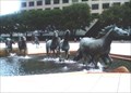Image for The Mustangs of Las Colinas