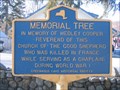 Image for Memorial Tree
