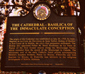 Image for The Cathedral-Basilica of the Immaculate Conception