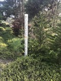 Image for American Legion Peace Pole - Cambria, CA