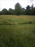 Image for Great Down Park, Bursledon - Wild Flower Meadow