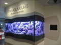 Image for HUB Aquariums - University Park, PA