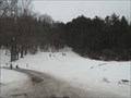 Image for Sledding in Burgess Park - Titusville, PA
