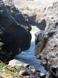 Image for Ocean Arch along  the Yachats 804 Trail