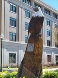 Image for Eagle - East Campus of American University - Washington DC