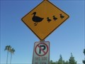 Image for Duck Crossing, Kiwanis Park -- Tempe, AZ