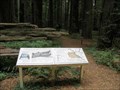 Image for Mahan Plaque Trailhead - Humboldt Redwoods SP - California