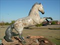 Image for Pioneers in Public Service - Horse in the City - Shawnee, OK