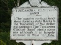 Image for Tuscarora (Clinton) Sand