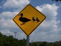 Image for Duck Crossing - Nashville, TN